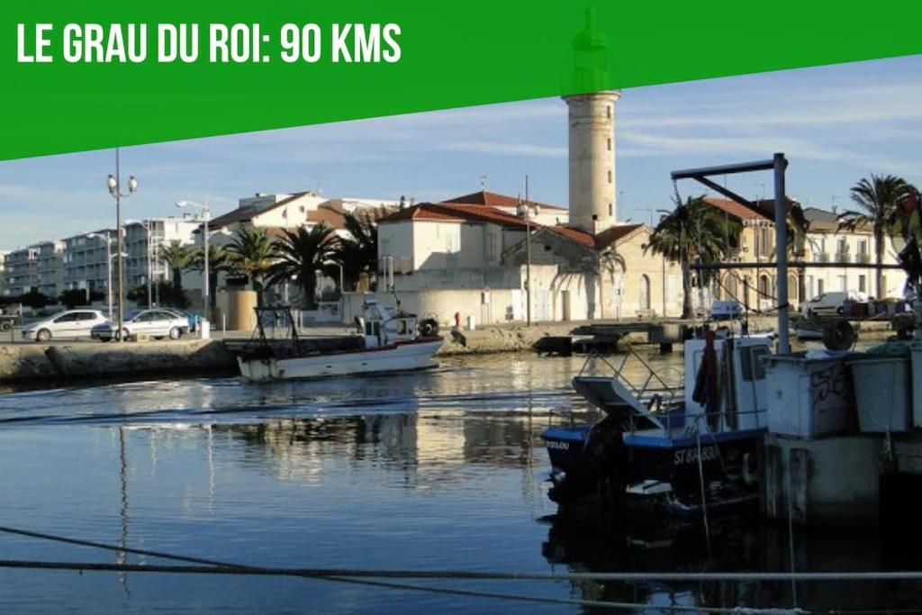Serenite - Appartement Climatise Au Calme - Wifi Avignon Bagian luar foto